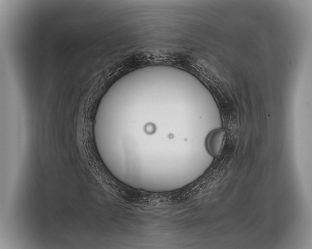 X0000116330865200912091037