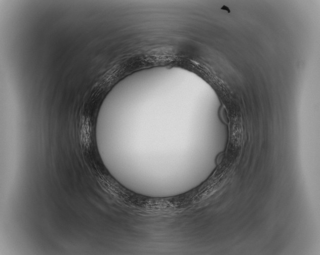X0000116330866200912091037