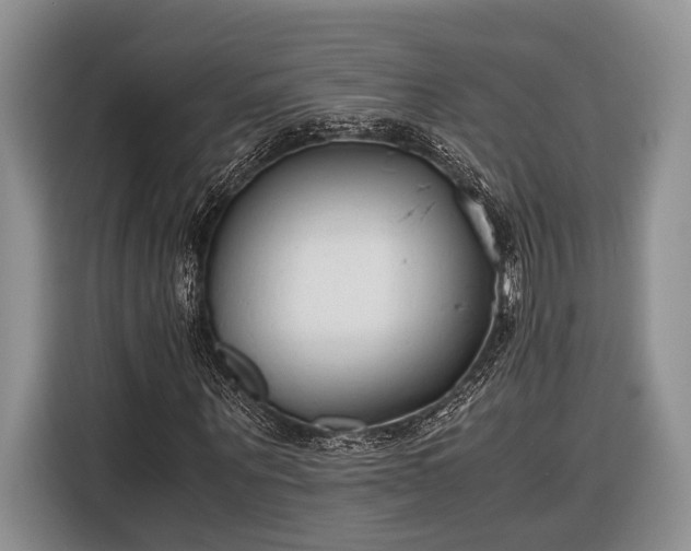 X0000116330867200912091037