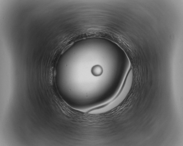 X0000116330868200912091037