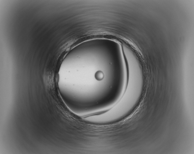 X0000116330873200912091037