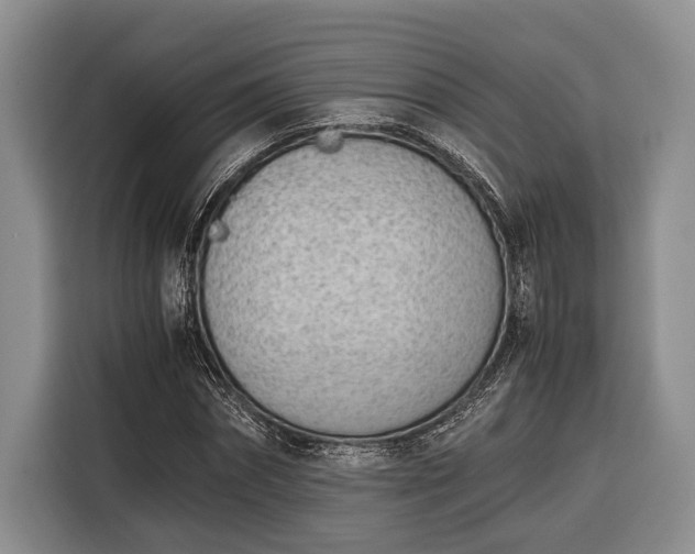 X0000116330874200912091037
