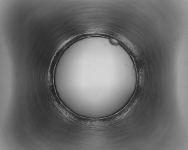 X0000116330876200912091037