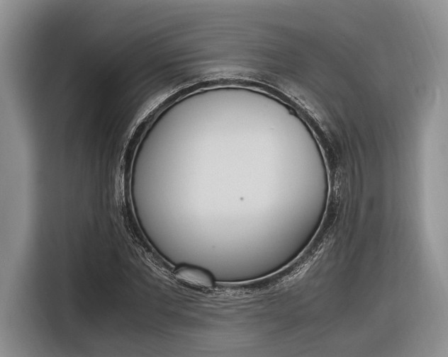X0000116330877200912091037