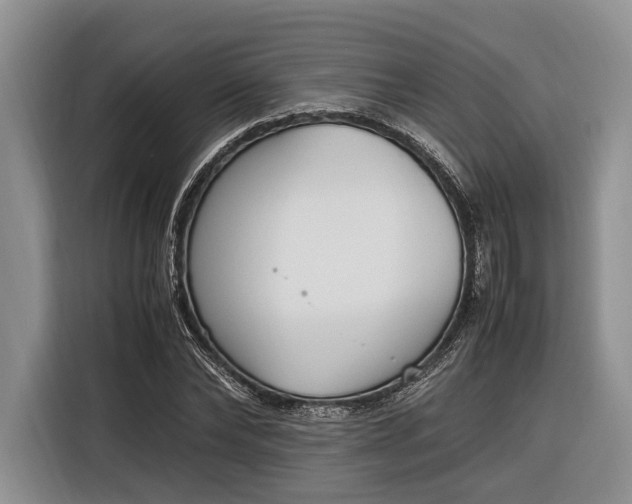 X0000116330878200912091037