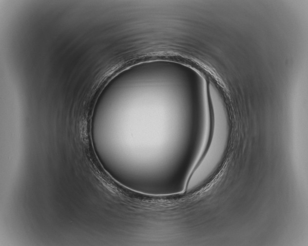 X0000116330881200912091037