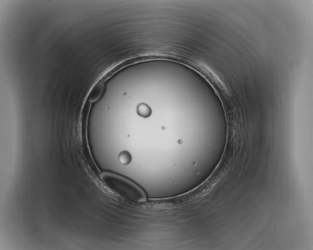X0000116330884200912091037