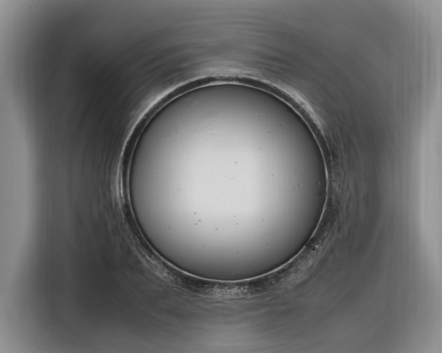 X0000116330887200912091037