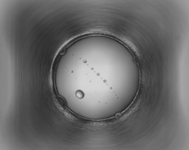 X0000116330888200912091037