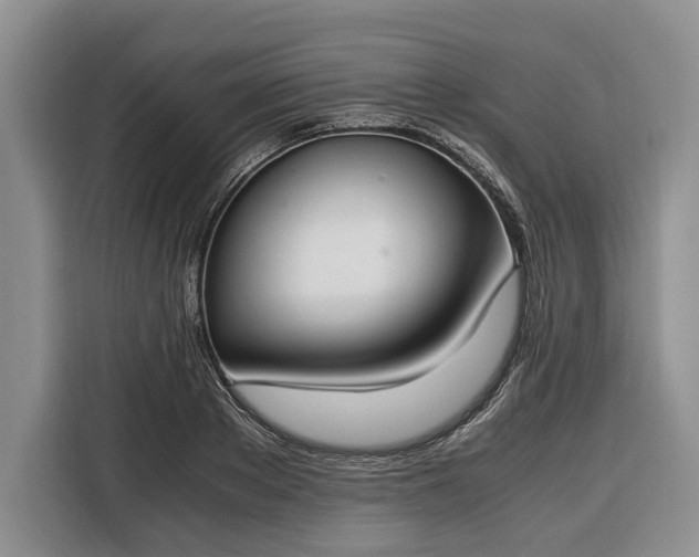 X0000116330889200912091037