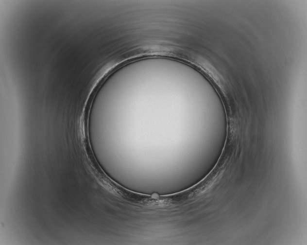 X0000116330891200912091037