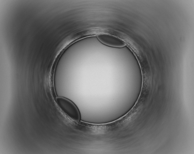 X0000116330893200912091037
