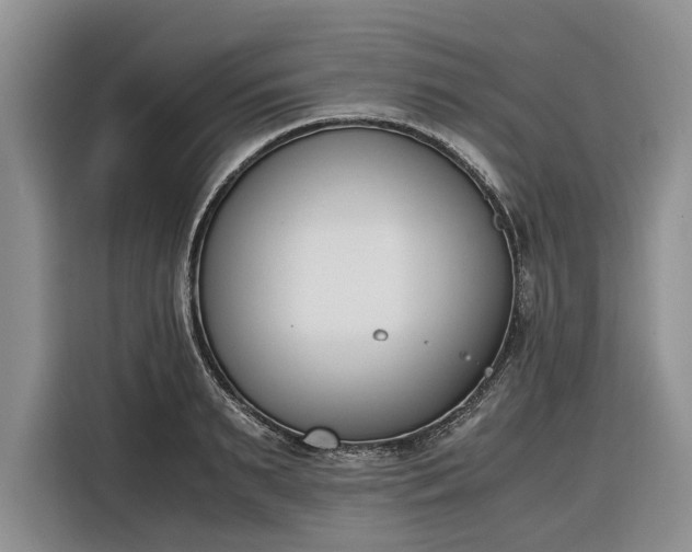 X0000116330895200912091037