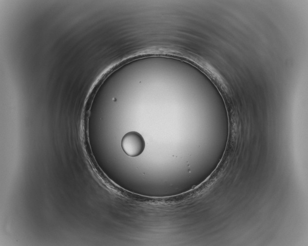 X0000116330896200912091037