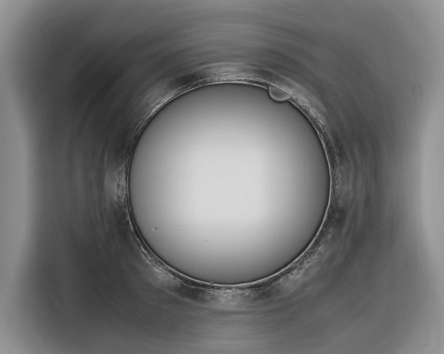 X0000116330897200912091037