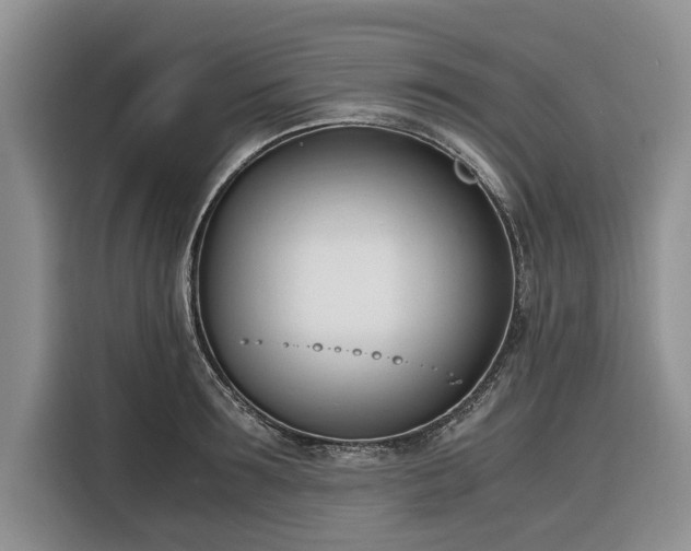 X0000116330899200912091037