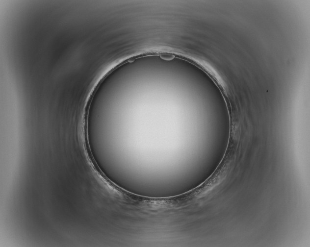 X0000116330903200912091037