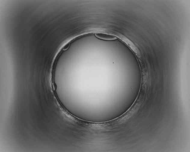 X0000116330904200912091037