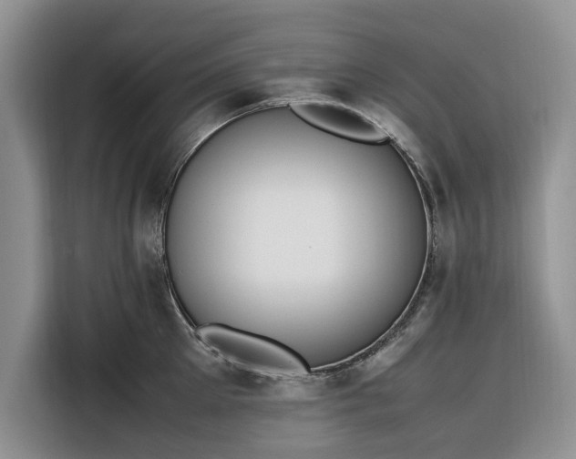 X0000116330905200912091037