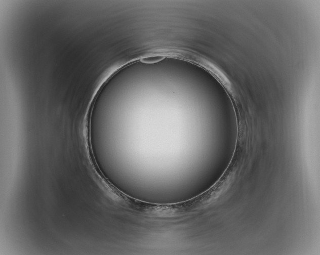 X0000116330907200912091037