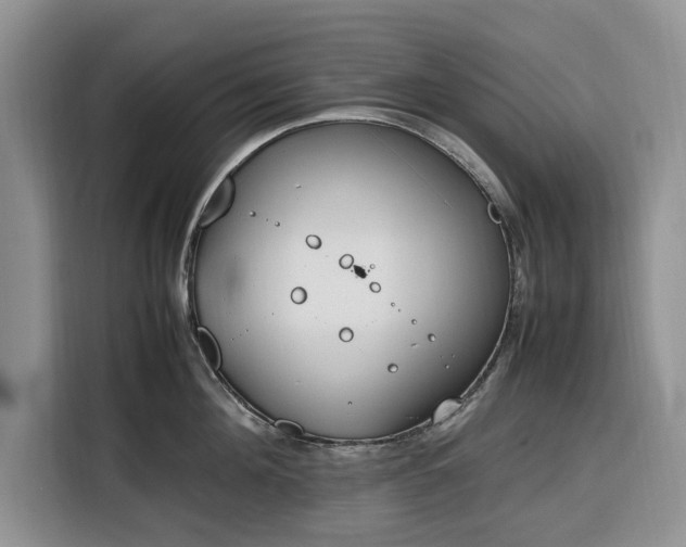 X0000116330908200912091037