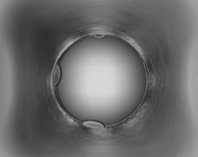 X0000116330909200912091037