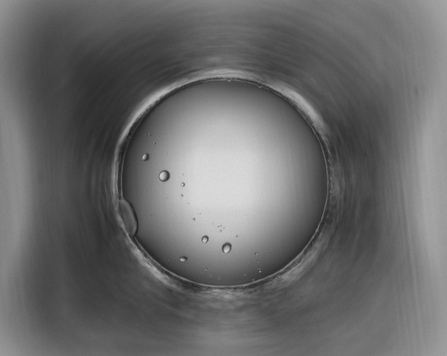X0000116330910200912091037