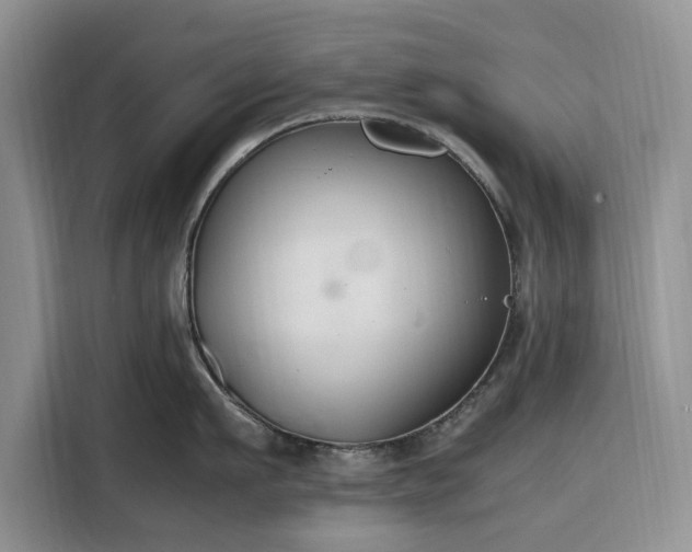 X0000116330911200912091037