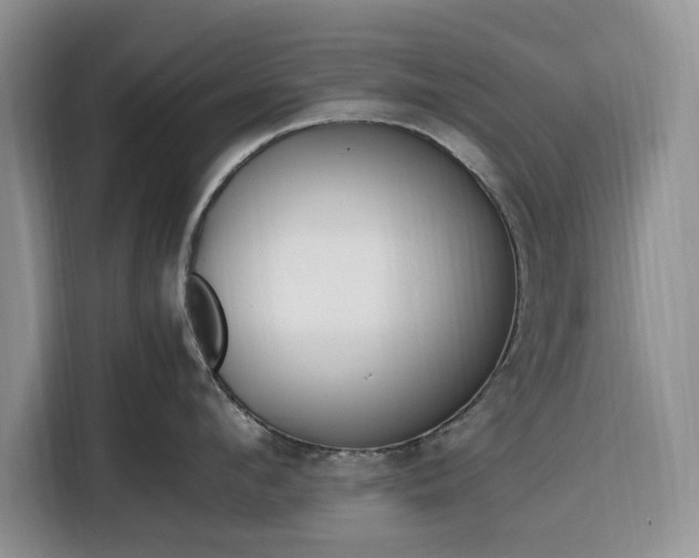 X0000116330912200912091037