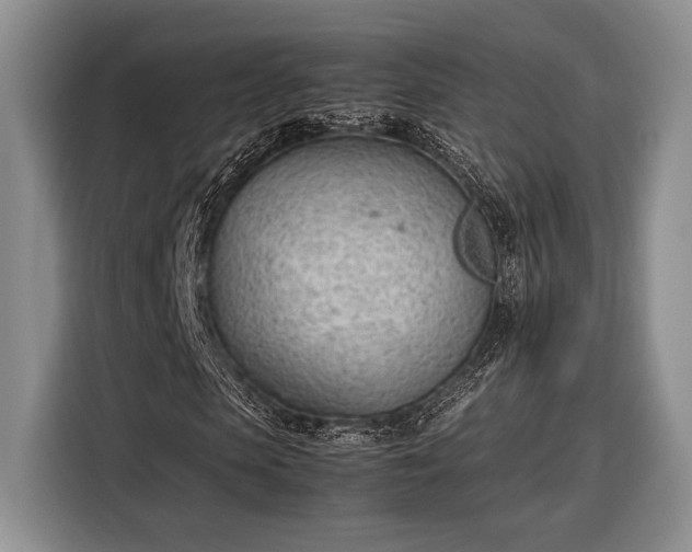 X0000116330913200912091036