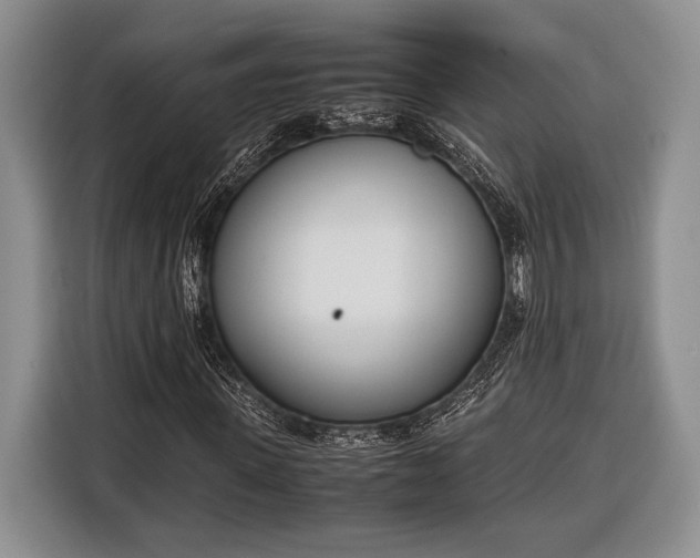 X0000116330915200912091036