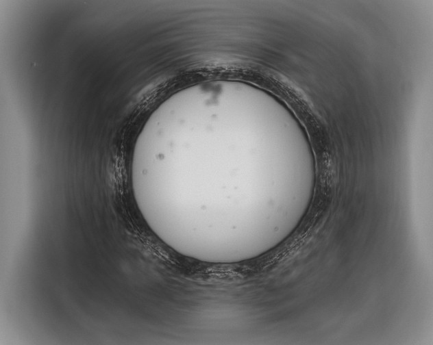 X0000116330918200912091036