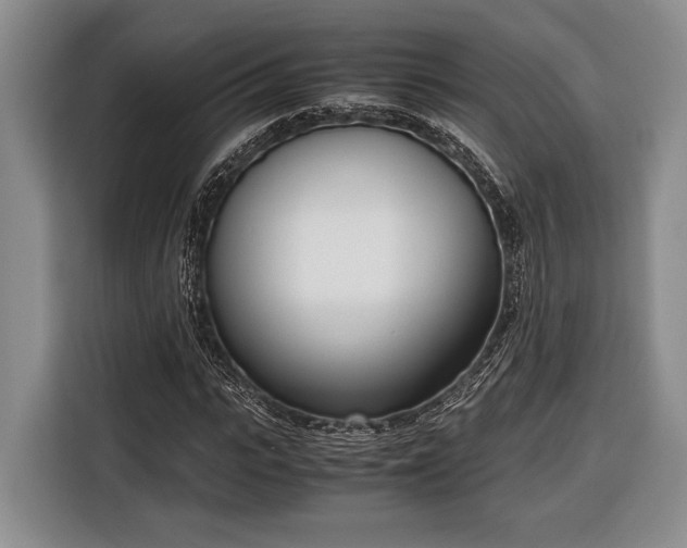 X0000116330919200912091036