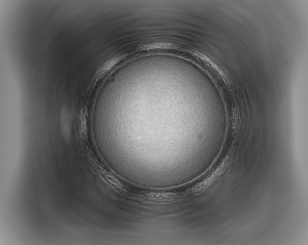 X0000116330921200912091036
