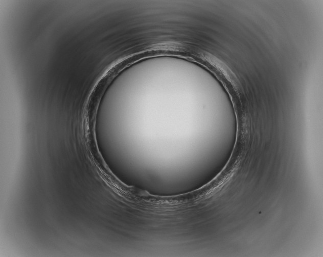 X0000116330923200912091036