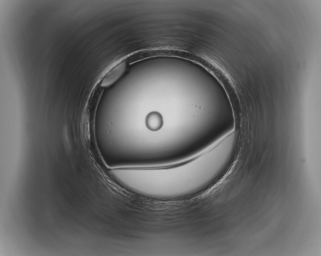 X0000116330925200912091036