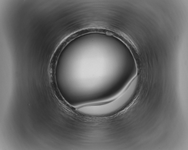 X0000116330926200912091036