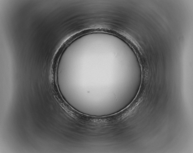X0000116330927200912091036