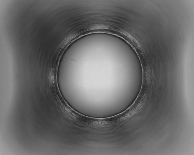X0000116330929200912091036