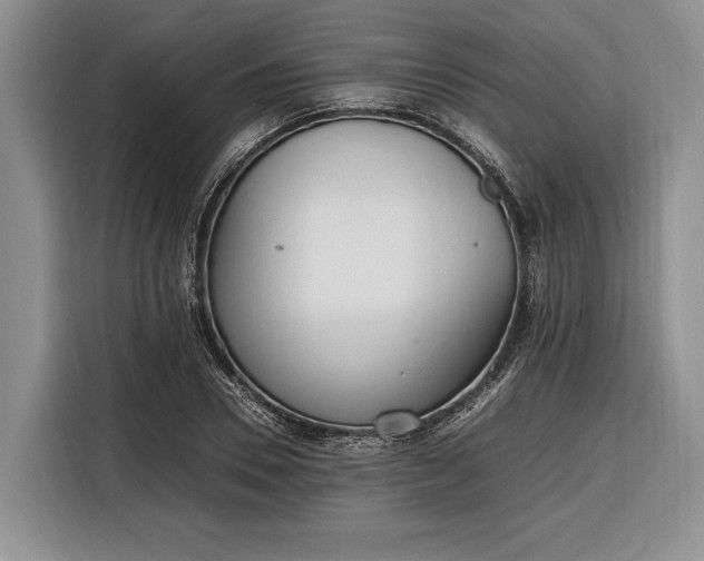 X0000116330930200912091036