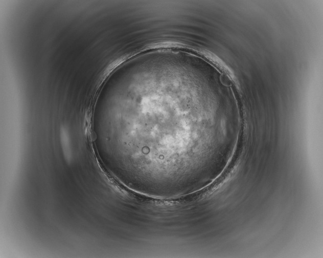 X0000116330945200912091036
