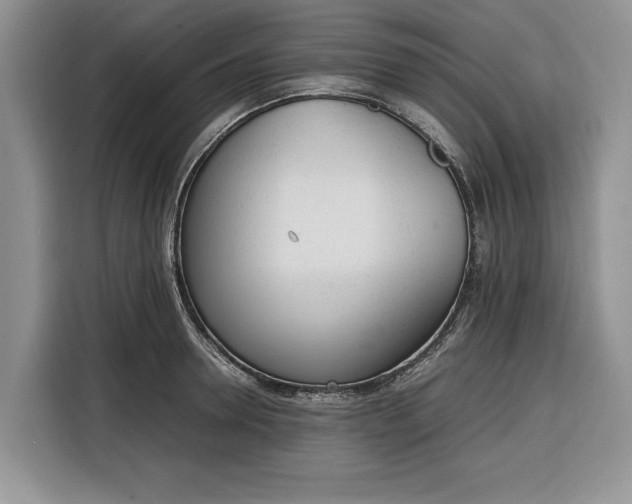 X0000116330946200912091036