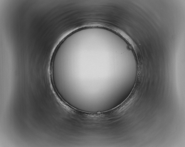 X0000116330951200912091036