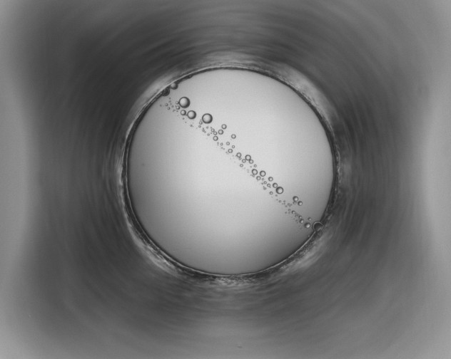 X0000116330954200912091036