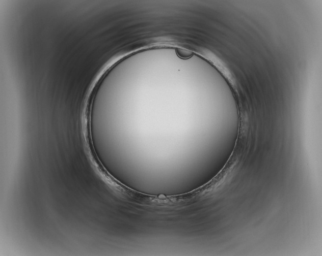 X0000116330955200912091036