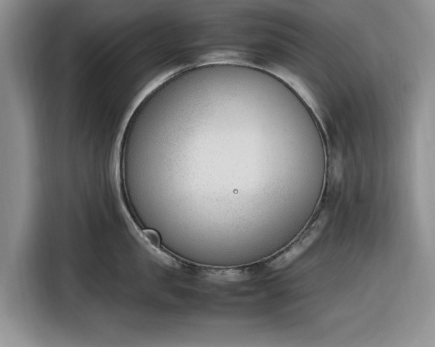 X0000116330957200912091036