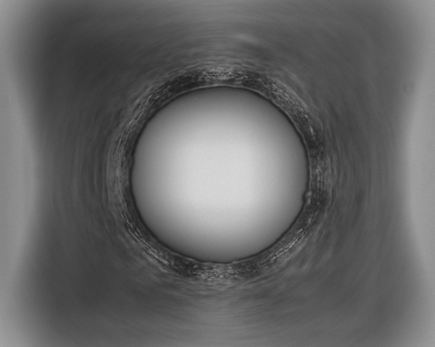 X0000116330961200912091036