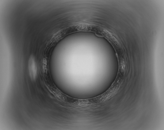 X0000116330964200912091036