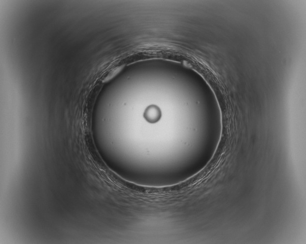 X0000116330965200912091036