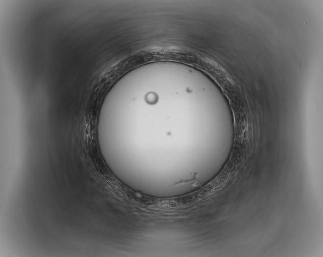 X0000116330966200912091036
